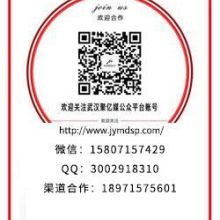 重慶神馬搜索競價推廣 技術(shù)推廣服務的創(chuàng)新實踐與優(yōu)化策略